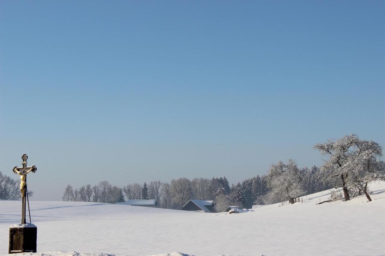 Apartament Auszeit Auf Dem Lindenhof Wangen im Allgäu Zewnętrze zdjęcie