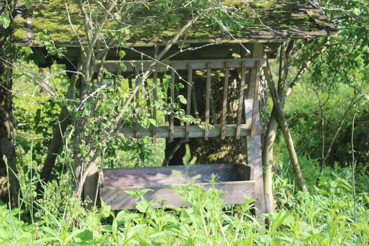 Apartament Auszeit Auf Dem Lindenhof Wangen im Allgäu Zewnętrze zdjęcie