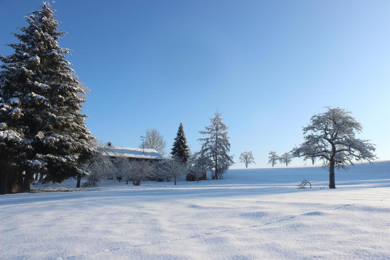Apartament Auszeit Auf Dem Lindenhof Wangen im Allgäu Zewnętrze zdjęcie