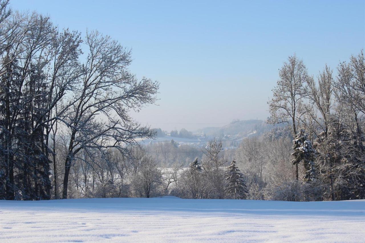 Apartament Auszeit Auf Dem Lindenhof Wangen im Allgäu Zewnętrze zdjęcie